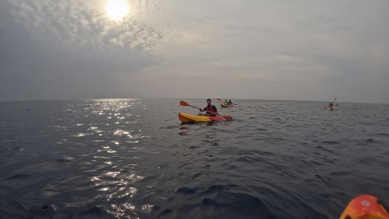 Los Cristianos : Safari en kayak au coucher du soleil avec grotte et faune