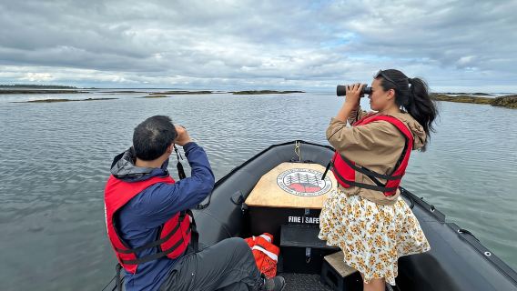 Lunenburg: Tour Ngắm Động Vật Hoang Dã bằng Thuyền Zodiac với Hướng Dẫn Viên Thiên Nhiên