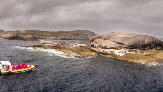 Melbourne: Wilsons Promontory Morning Wilderness Cruise