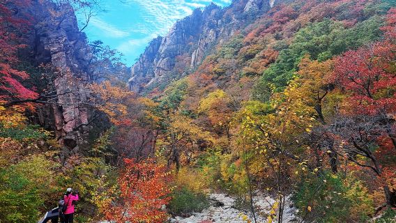 Seoul: Núi Seorak, Đảo Nami & Vườn Hàn Quốc, Không mua sắm