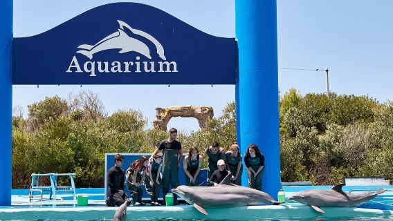 Cancún: Entrada al Acuario Interactivo