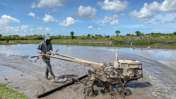 Ubud : Tur Sepeda PRIVAT di dalam Sawah Pedesaan Ubud
