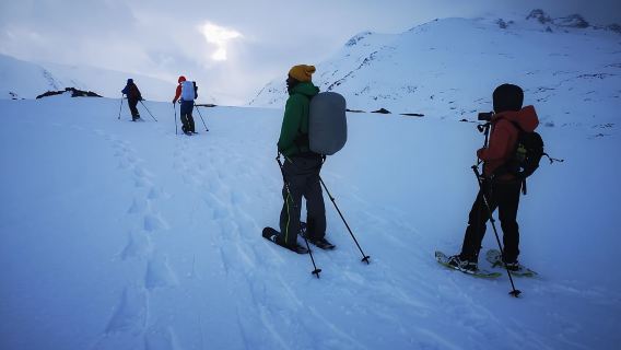 Tromsø: Arctic Snowshoeing Experience