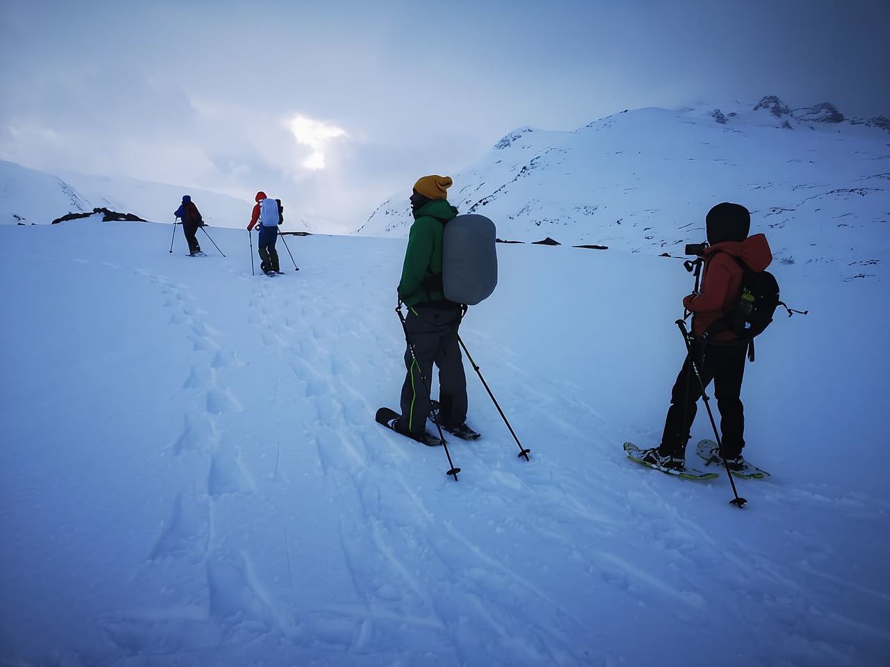 Tromsø: Arctic Snowshoeing Experience