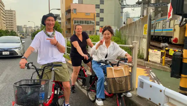 東京：夜間電動自行車之旅，包括東京鐵塔和海豚表演