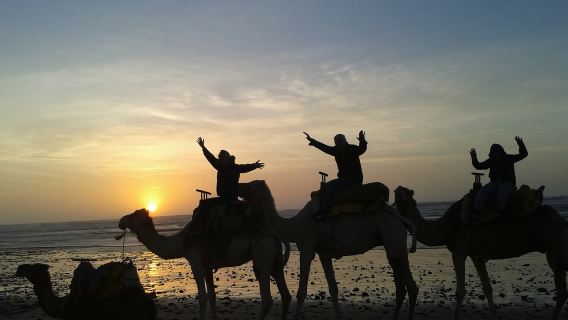 Essaouira: Satu Jam Perjalanan Dromedaris