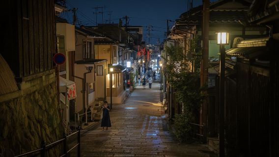 Kyoto: Geisha Dinner & Gion Cultural Walk