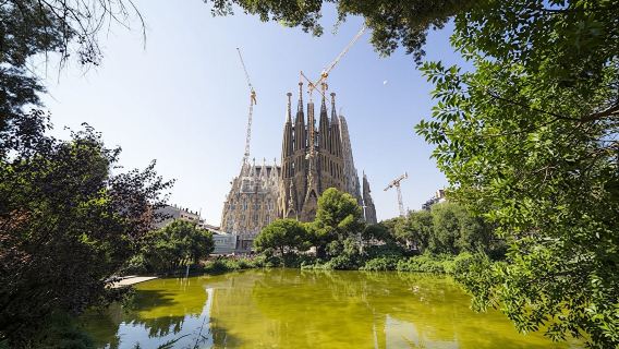 Skip-the-line Tickets and Guided Tour of Sagrada Familia and Park Güell with Transfer