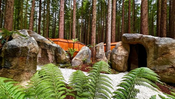 Rotorua: Redwoods Altitude, Nighttime Fast Pass, & Treewalk