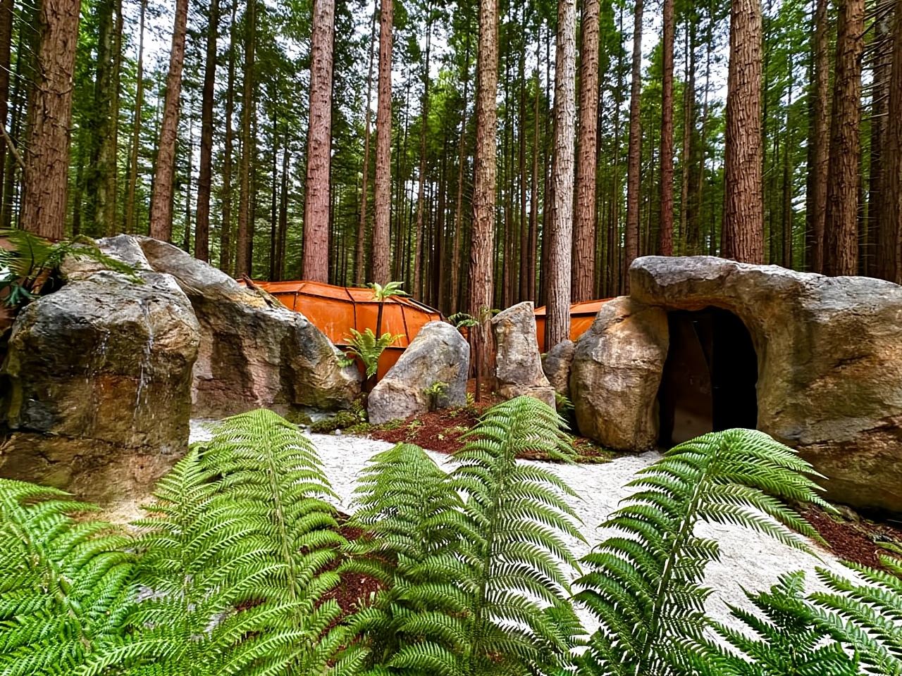 Rotorua: Redwoods Altitude, Nighttime Fast Pass, & Treewalk