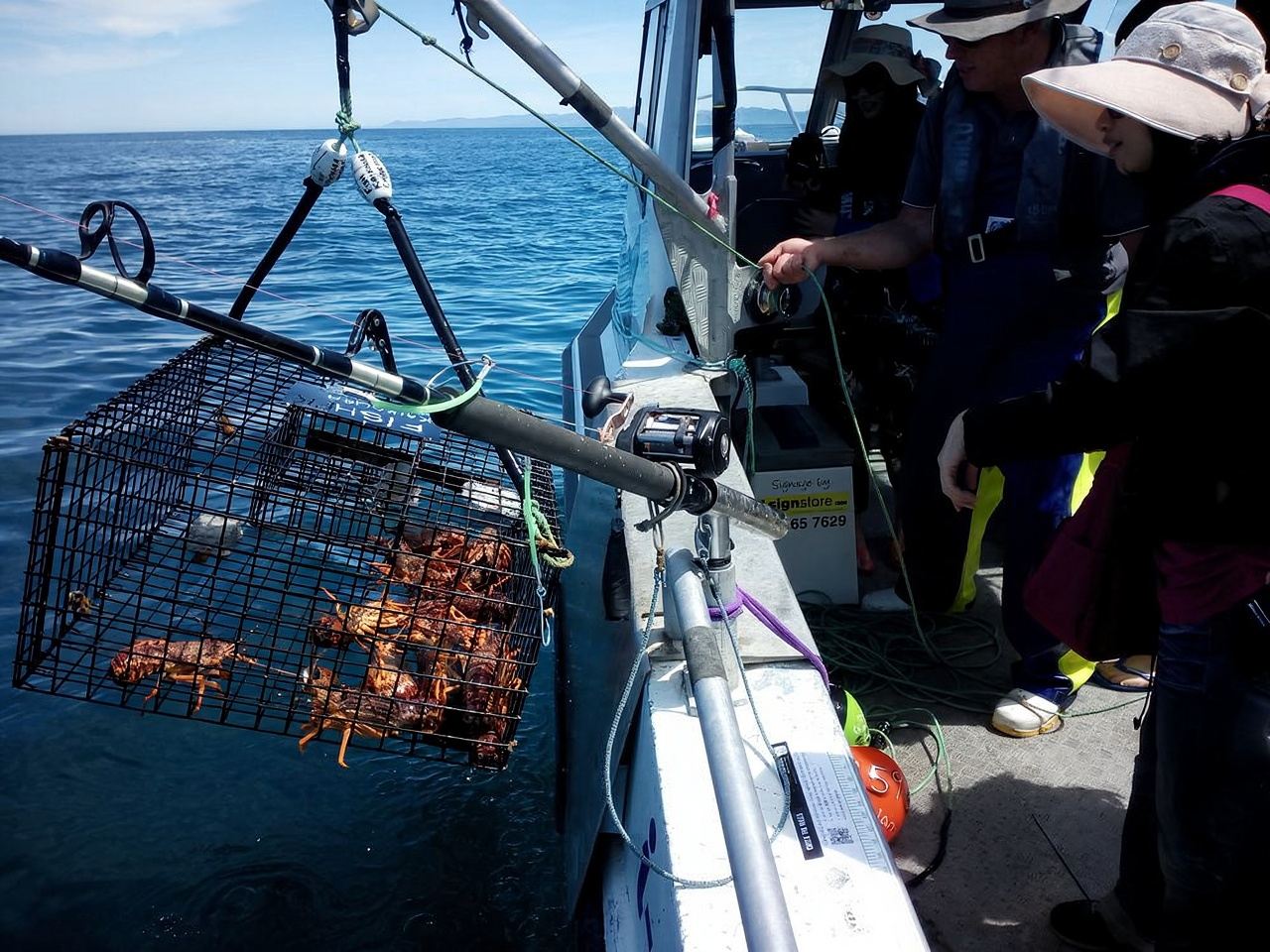 Kaikoura Deep Sea Fishing with Captain Melcome in New Zealand's South Island [Led by an Experienced Captain, Even Beginners Can Reel in Fish and Catch Giant Lobsters]