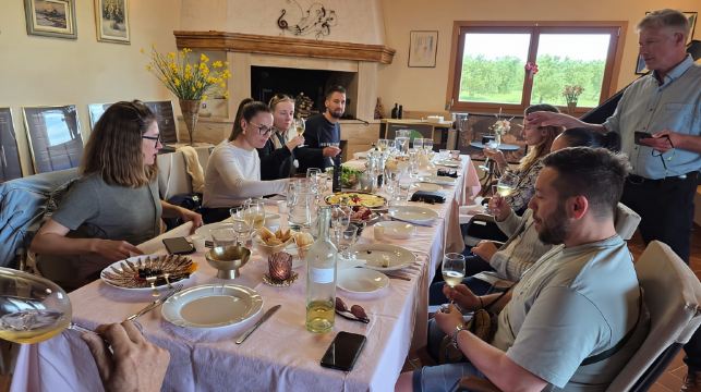 扎達爾橄欖油與葡萄酒配達爾馬提亞景觀及歷史