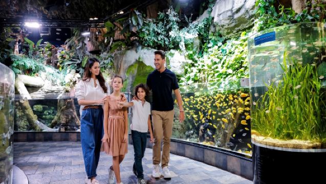 Dubai Aquarium and Underwater Zoo - Ticket