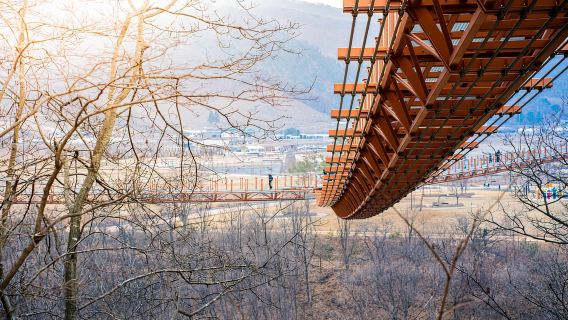 Séoul : Géoparc UNESCO de Pocheon, Île aux Herbes Roses et Vallée de l'Art