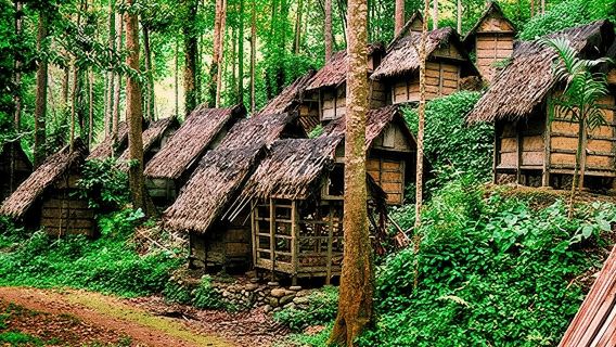 Private Tour Baduy Village