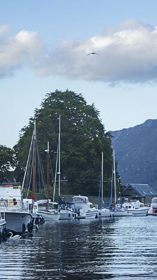 1-day tour to Loch Ness + Glen Coe + Scottish Highlands, UK|Optional cruise|Classic loop route