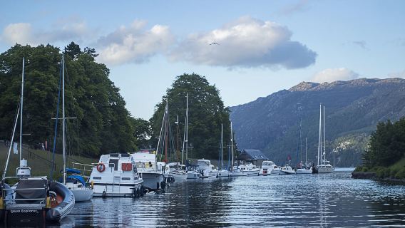 1-day tour to Loch Ness + Glen Coe + Scottish Highlands, UK|Optional cruise|Classic loop route