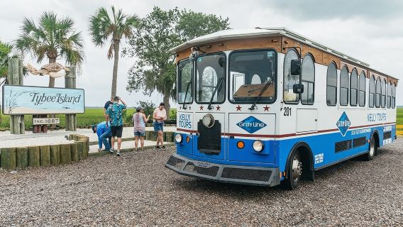 Croisière d'observation des dauphins de Savannah à Tybee Island