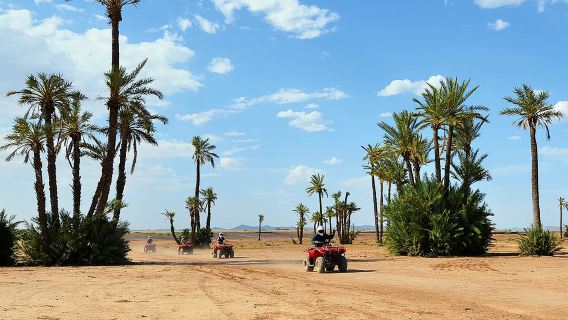 Marrakech Desert and Palm Grove Quad Bike Tour