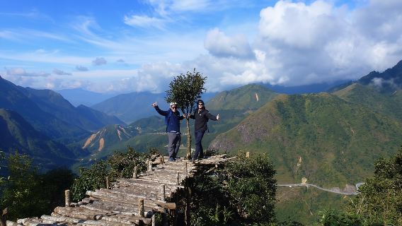 Sapa