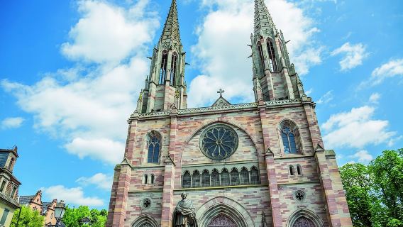 Ruta del Vino de Alsacia: Excursión de medio día en grupo reducido con degustación desde Estrasburgo