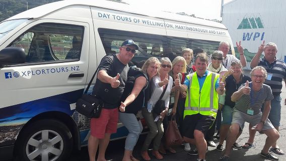 Halbtagestour durch Wellington