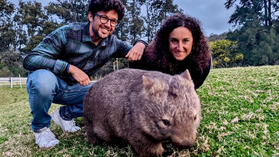 Wild Wombat and Kangaroo Day Tour from Sydney