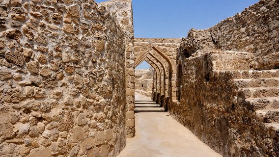 Archaeological Tour Bahrain