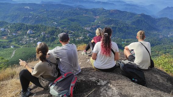 Half Day Hiking in Munnar Trekking Tour