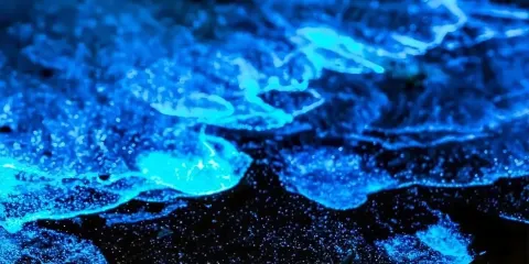 福州平潭島一日遊【追淚達人團 甄選私家團包車遊】