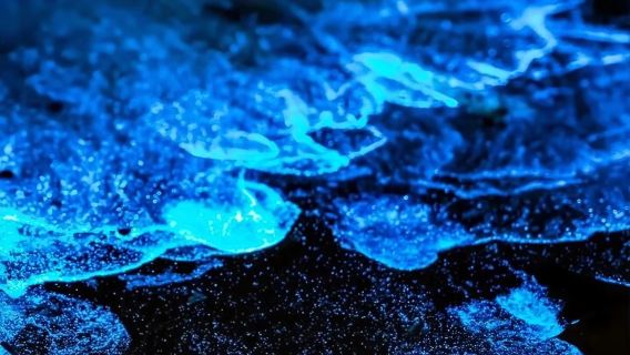 福建福州平潭島+猴研島一日遊【追淚達人團甄選私人導覽包車遊】