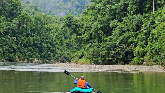 Full Rainforest Experience: Kayaks, Waterfall and Embera village
