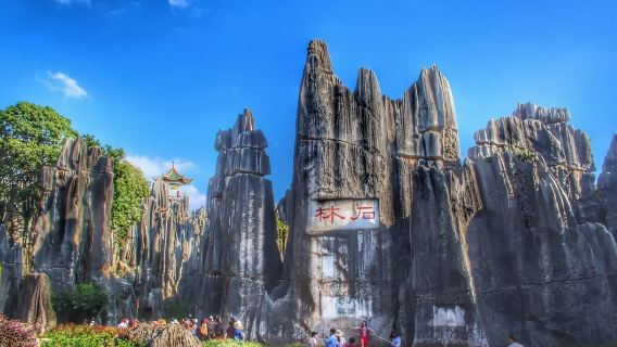 Юньнань, Куньмин: Шилин + Цзюсян [индивидуальный дневной тур|Гид, говорящий на китайском, английском, русском, французском, испанском, японском и корейском языках