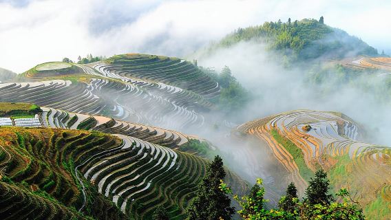 Paysages à Couper le Souffle : Rizières en Terrasses & Villages Minoritaires en groupe