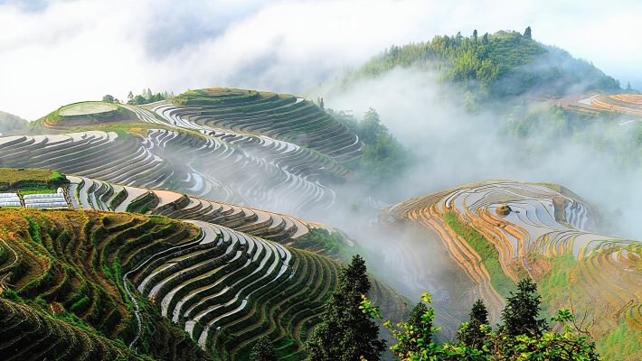 Paysages à Couper le Souffle : Rizières en Terrasses & Villages Minoritaires en groupe