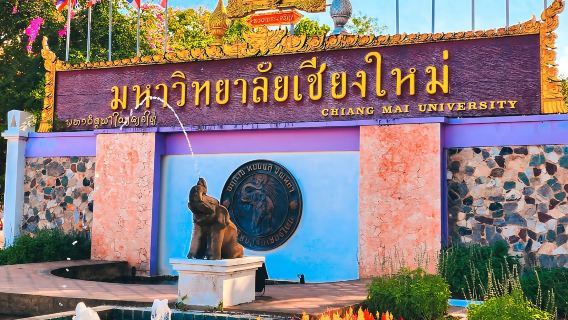 ทัวร์วันเดียว/ทัวร์หลายวัน วัดพระธาตุดอยสุเทพ + อ่างเก็บน้ำมหาวิทยาลัยเชียงใหม่ + ไนท์ซาฟารี พร้อมรถรับส่ง