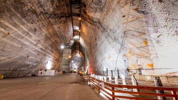 From Bucharest: Slănic Prahova Salt Mine Ticket and Transfer