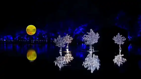 「印象西湖」ショーチケット:最憶是杭州(ガイドなし)