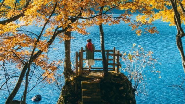 9人小團·日光東照宮賞秋一日遊丨華嚴瀑布丨伊呂坡坂丨紅葉纜車