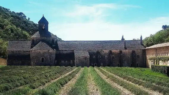 Luberon Market & Villages 