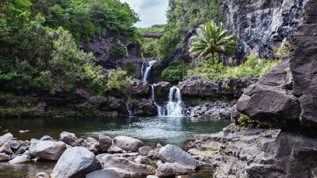 Maui: Road to Hana Adventure with Farm to Table Lunch