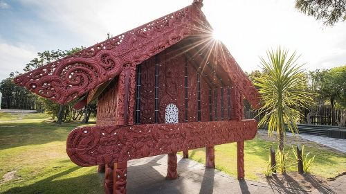 Waitomo Caves & Rotorua - Te Puia Small-Group Tour from Auckland Day Tours