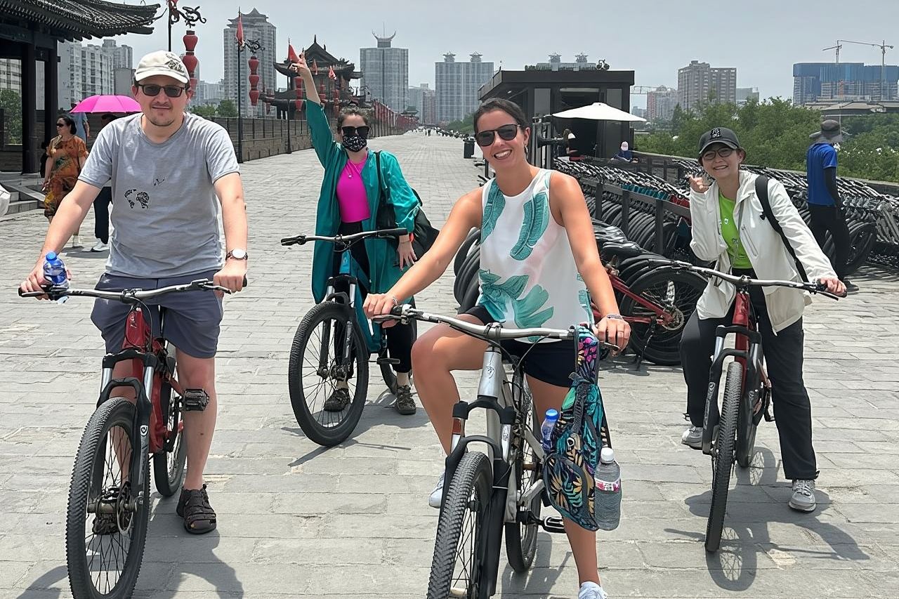 Tour privato di un giorno ai Guerrieri di terracotta e alle mura della città di Xian