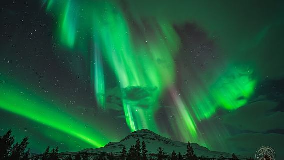 Small Group Northern Lights Chase with Photography from Tromsø