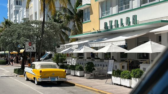 Coming to Miami? Start Here! Traveler's Guide to Miami City Tour!