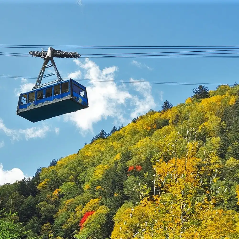 Fall day tour | Kurodake mountain cable car for maple viewing