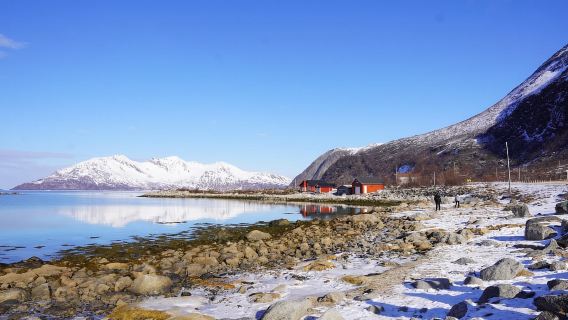 Tromsø: Exclusive Fjord Adventure by Bus