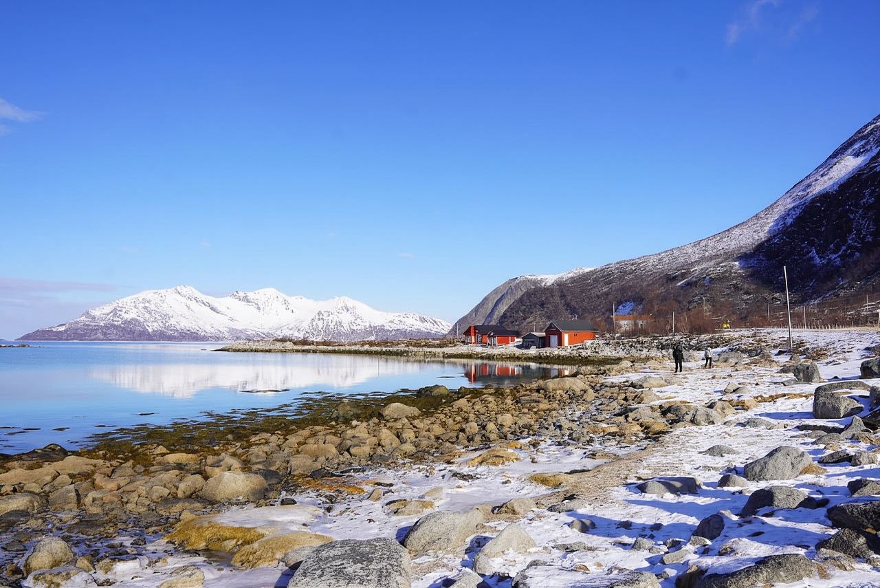 Tromsø: Exclusive Fjord Adventure by Bus
