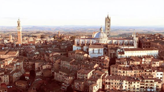 Florencia: S. Gimignano, Siena, Chianti y almuerzo con cata de vinos