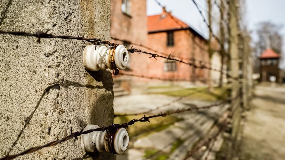 Auschwitz-Birkenau Skip-the-Line Guided Tour
